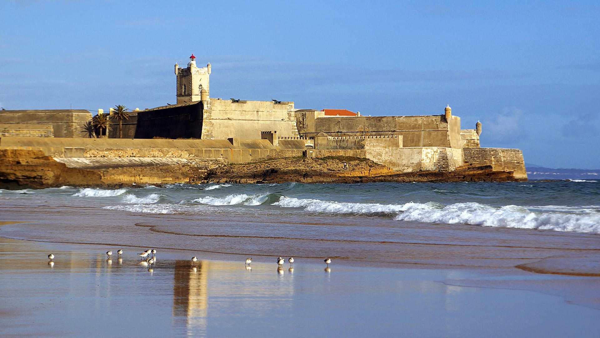 surf-guide-portugal-contacts